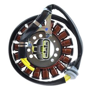 BRP Stator, tändplatta (Original)