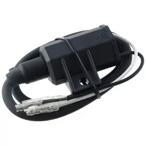 SP1 T&auml;ndspole (Standard)