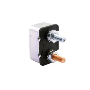 RMSTATOR Säkring (10A) Polaris