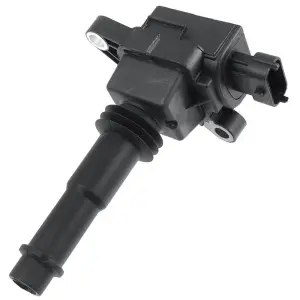 SP1 T&auml;ndspole (Standard)