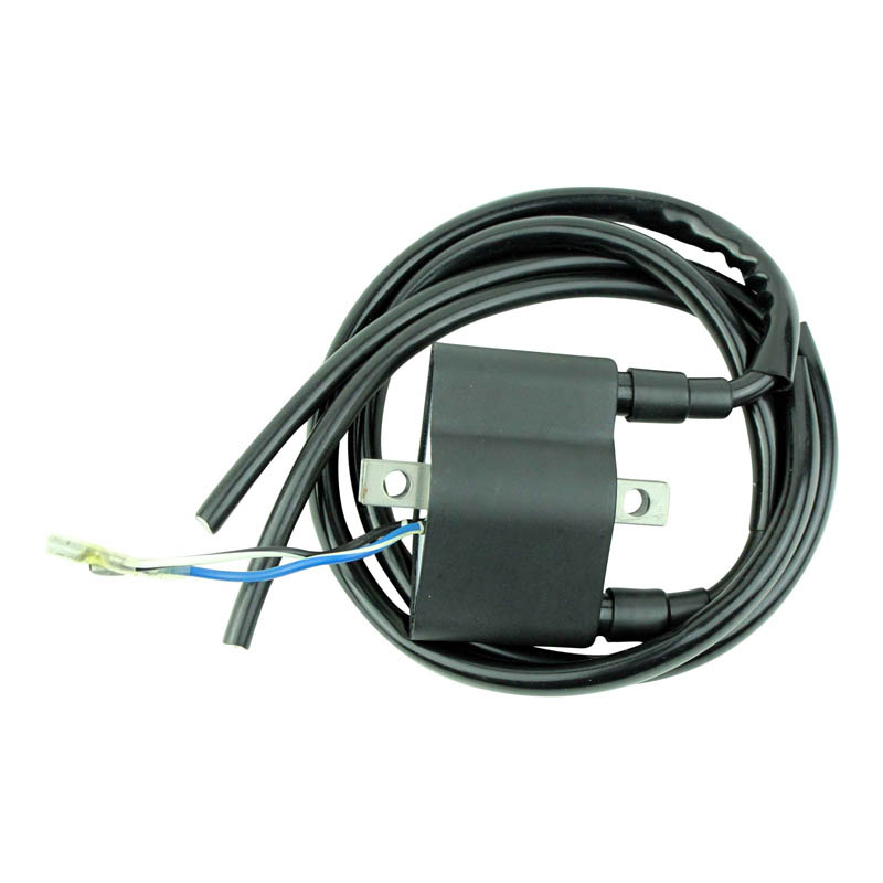 RMSTATOR Tändspole (Standard)