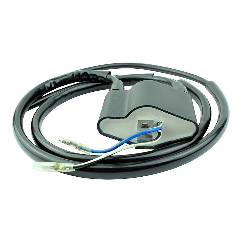 RMSTATOR Tändspole (Standard)